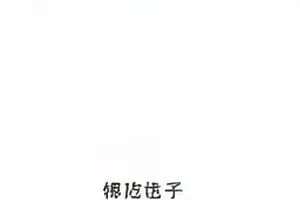 《旧巷灯影》封面：窄巷中拉长的灯影